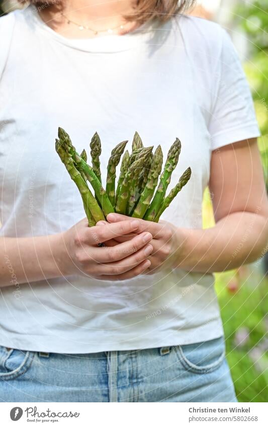 eine junge Frau hält einen Bund grünen Spargel in ihren Händen grüner spargel Gemüse Lebensmittel Ernährung Spargelstangen Spargelzeit grüner Spargel