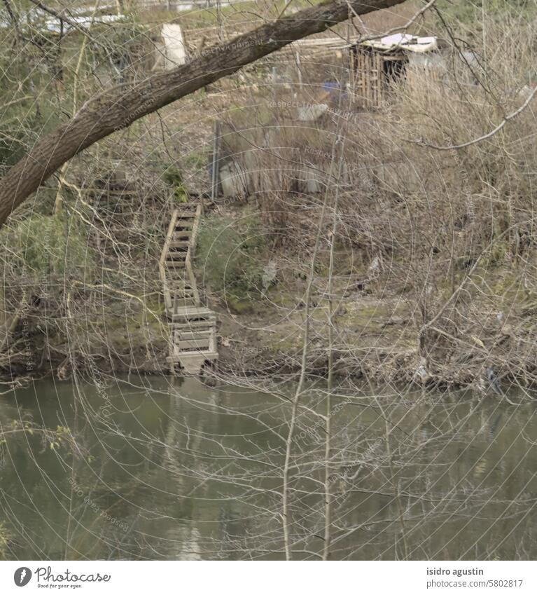 eine alte Holztreppe, die zum Fluss hinunterführt Treppenhaus Wald im Freien Aufstieg Blatt Struktur Natur Spaziergang sonnig Schatten Verlassen allein desolat