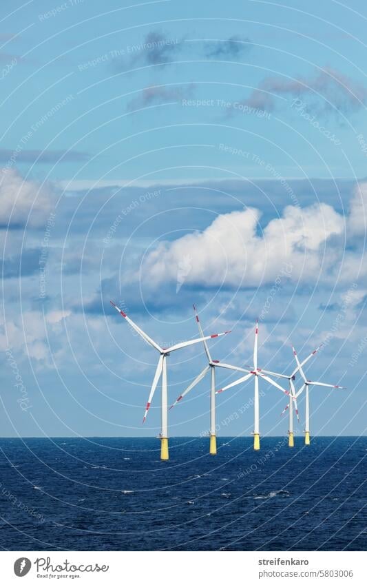 Offshore-Windkraftanlage in der Nordsee Meer offshore Wasser Erneuerbare Energie Umwelt Himmel Energiewirtschaft Windrad Elektrizität Umweltschutz nachhaltig
