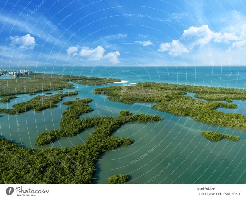 Blauer Himmel über der Mangrovenbaum-Wasserstraße vor dem Golf von Mexiko Neapel Florida Golf von Mexico Mangrovenwälder Küste Küstenstreifen Landschaft Meer