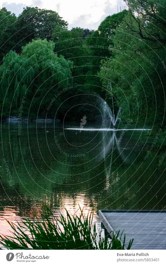 Springbrunnen im Stadtpark von Lund, Schweden Skandinavien Südschweden Park Wasser Teich See Ufer Brunnen Abendlicht Dämmerung Sonnenuntergang Spaziergang