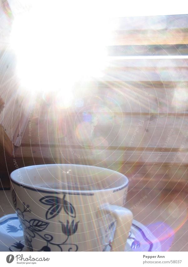 kaffeepause Licht gemütlich Kaffee Sonne Energiewirtschaft ruhig innenaufnahme gegen die sonne