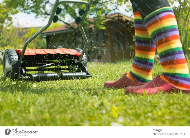 Rasen mähen Rasenmäher Wiese Gras Garten Gartenarbeit regenbogenfarben Schuhe Gartenhütte bunt grün geschnitten Gärtner Mäher Pflege Arbeit Gerät Frau Strümpfe