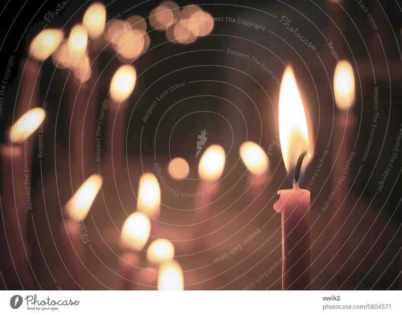 Stilles Gebet Kerzenlicht Opferlichter brennende Kerzen Trauer Nahaufnahme Gotteshaus geistlich Stimmung Meditation Ruhe Gedenken glauben Flamme erinnern