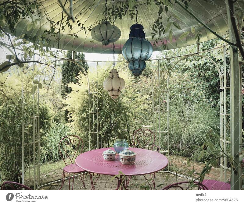 Gartenlokal Pavillon Gartenhäuschen Detailaufnahme Leichtigkeit Gitter Blätter einfach Einblick offen Bauwerk Farbfoto Verzierung friedlich luftig Pflanze