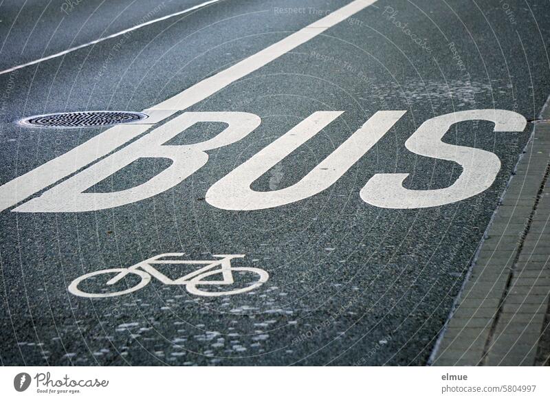 Asphaltstraße mit einer durch Schrift und Piktogramm abgegrenzten BUS - / Fahrradspur Radspur Radweg Busspur Straße Fahr Rad! Radfahren Straßenverkehr