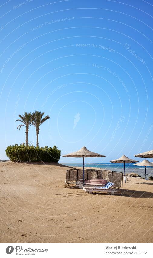 Schöner Sandstrand mit Liegestühlen und Sonnenschirmen, Region Marsa Alam, Ägypten Urlaub Strand Sommer reisen MEER entspannen Flucht Wasser Feiertag