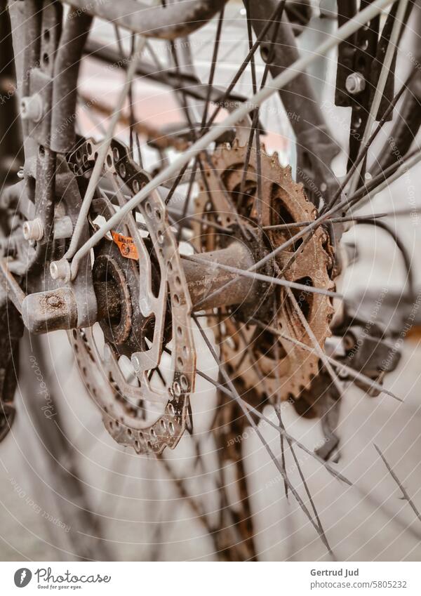 Details eines rostigen Fahrrades Fahrradfahren Speichen Rost rosten Umwelt umwelschutz Detailaufnahme detail Nahaufnahme