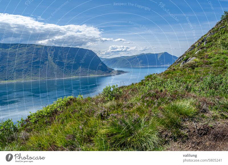 Landschaft in Alesund, Norwegen alesund Europa Mehr Og Romsdal Landkreis More og Romsdal Skandinavien schön Fjord Berge u. Gebirge Natur Norweger alt im Freien