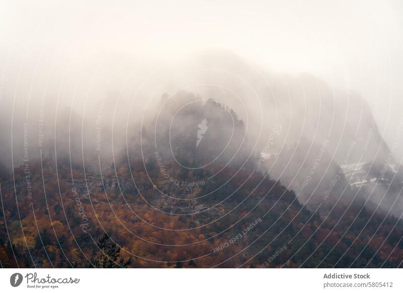 Mysteriöser Nebel über dem herbstlichen Wald von Selva de Oza Herbst Laubwerk Natur aragonisch Huesca Pyrenäen westliche Täler Echotal Landschaft Bäume fallen