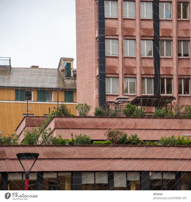 urbane Vielfalt Fassade Stadt begrünt Balkon Fenster Städtereise rot Italien Stadtzentrum Architektur Haus braun Häuserzeile Fassaden Fensterfront mediterran
