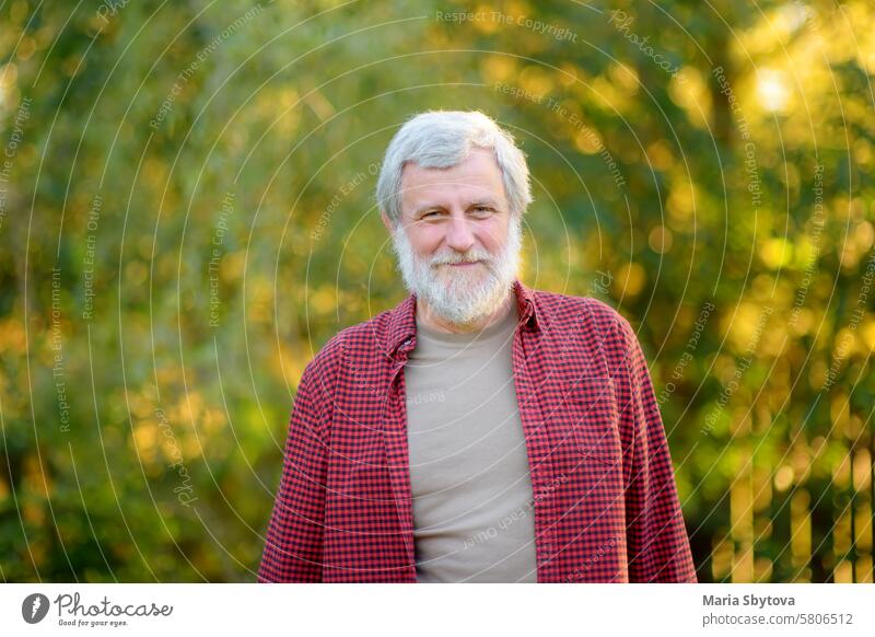 Porträt eines reifen, gut aussehenden Gärtners an einem sonnigen Sommertag. Graue Haare älterer Mann Landwirt ist auf seinen eigenen Garten. Frucht Gemüse