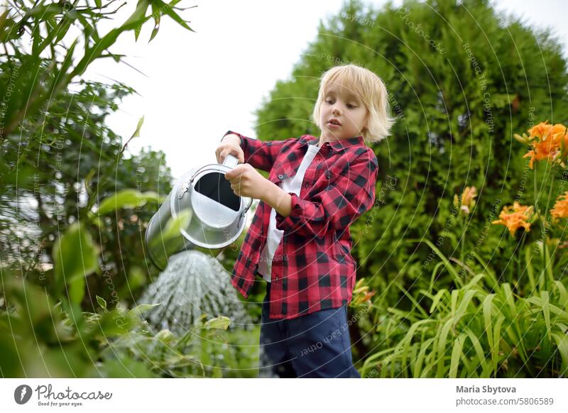 Cute preteen Junge Bewässerung Pflanzen im Garten im Sommer sonnigen Tag. Kind hilft Familie mit der Arbeit im heimischen Garten. Sommer im Freien Aktivität und Aufgaben für Kinder während der Ferien.