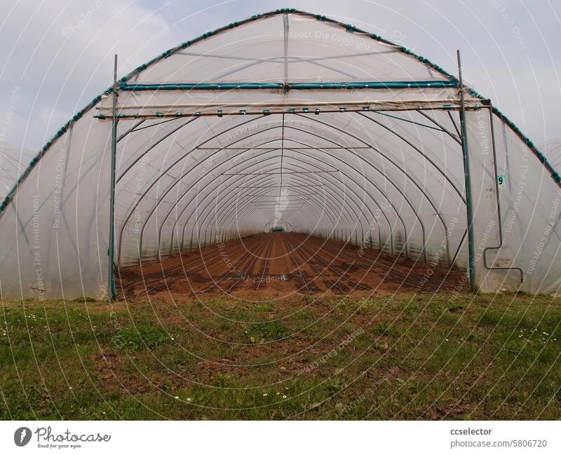 Blick in einen großen Folientunnel Landwirtschaft Gartenbau Gewächshaus Lebensmittel nachhaltig Bodenbearbeitung organisch Gemüse Autarkie Selbstversorgung