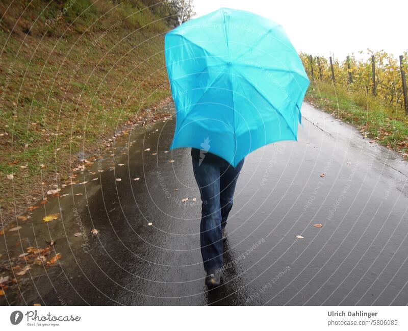 Person in Sturm und Regen mit einknickendem hellblauem Regenschirm Wetter schlechtes Wetter Wind Natur Gewitter