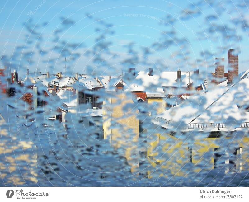 Blick durch vereistes Fenster auf schneebedeckte Hausdächer mit blauem Himmel Winter Häuser Stadt Eis Schnee Heizen frieren Winterstimmung Kälte weiss Wetter
