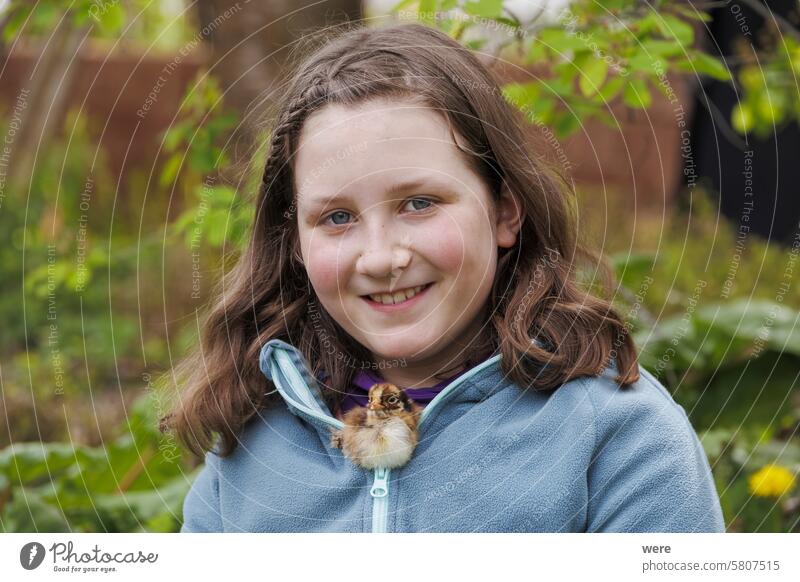 Ein Mädchen sitzt im Garten mit einem kleinen Küken im Ausschnitt ihrer Jacke und schaut in die Kamera. Tier Fotokamera Kaukasier kleines Küken Aussehen