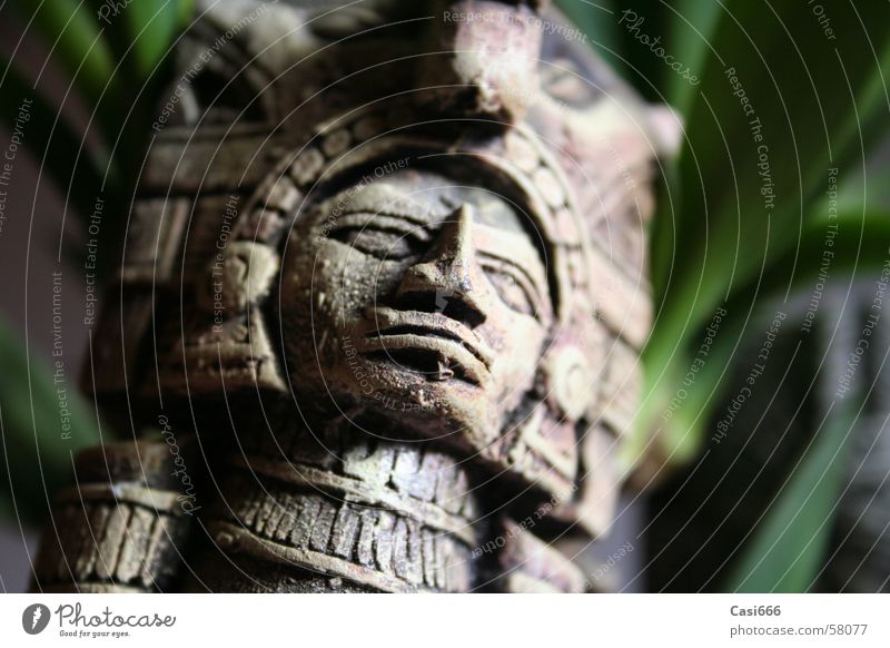 Tomb Raider Statue Urwald Inka Maya Ausgrabungen Archäologie Kultur untergehen vergessen verloren Kunst Indiana tomb raider lara croft jones Mexiko