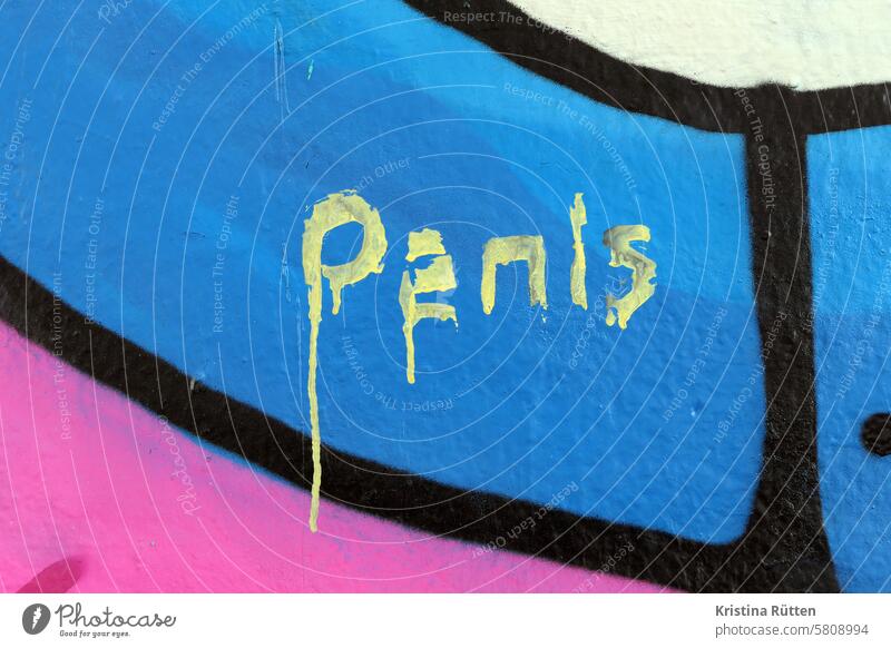 penis graffiti schmiererei streetart street art wand beschmiert genital geschlechtsteil körperteil mann sex erotik glied schniedel pimmel schwanz