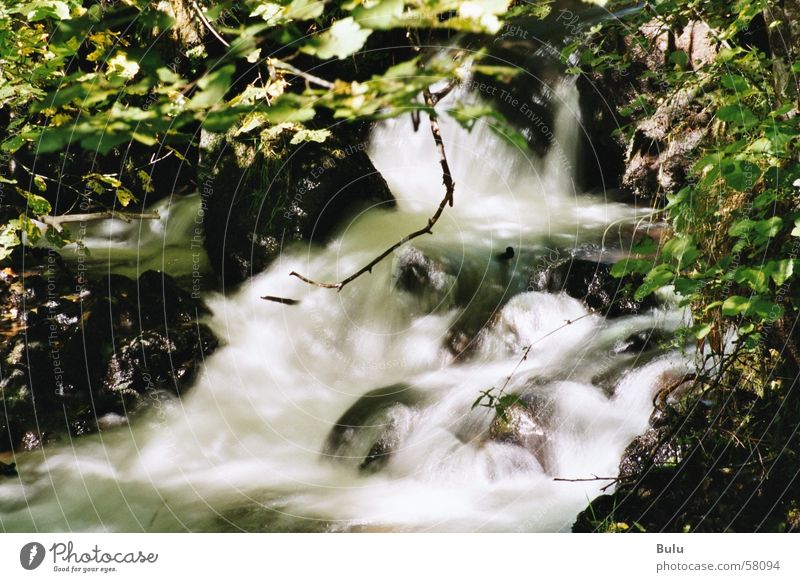 am rauschenden Bach.... Außenaufnahme Langzeitbelichtung Rauschen Wildbach Wasser Wasserfall Natur Gischt ursprünglich wild Flußwasser