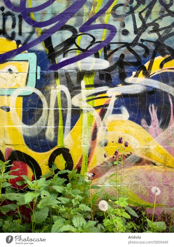 Klangmalerei | Ein Graffiti-Wortgewirr fliegt als Gewitterwolke über Brennnesseln und Löwenzahn Wand bunt Worte abstrakt Malerei Wörter Fassade Farbe Mauer