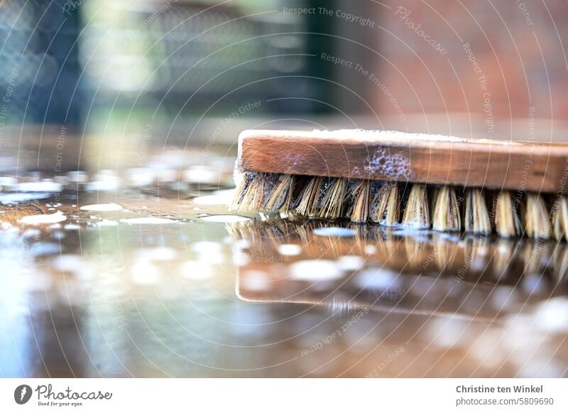 Frühjahrsputz / eine Wurzelbürste auf einem nassen Holztisch schrubben säubern Terrasse Sauberkeit Reinigen dreckig Häusliches Leben Borsten Seifenschaum