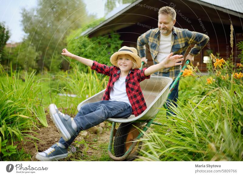 Schubkarre schieben von Papa im heimischen Garten an einem warmen sonnigen Tag. Aktive Spiele im Freien für Familie mit Kindern im Hinterhof Spaß Arbeit Vater