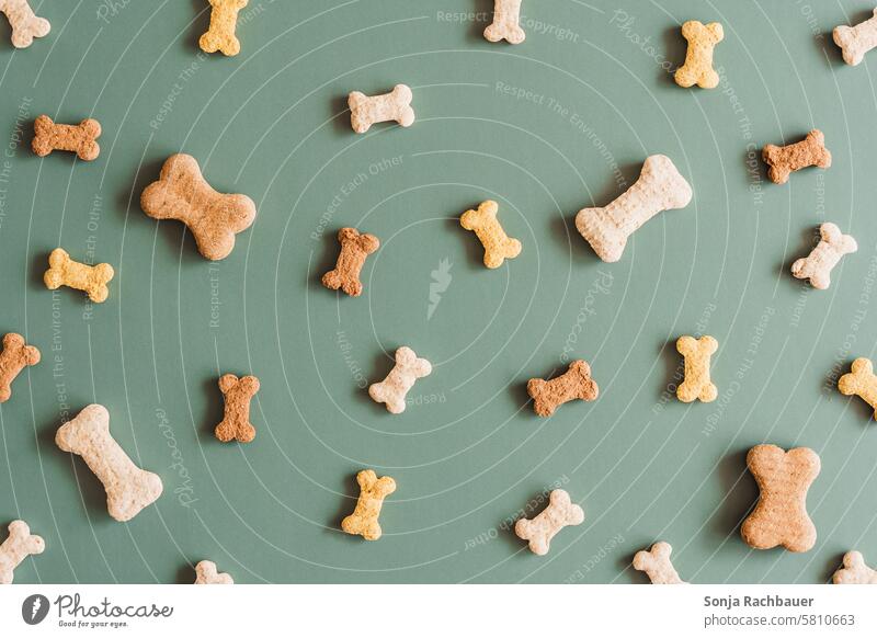 Flatlay von Hundekeksen auf einem jadegrünen Hintergrund Hundeknochen Keks Hundefutter knusprig gebacken selbstgemacht Tiernahrung Snack lecker Knusprig Biskuit