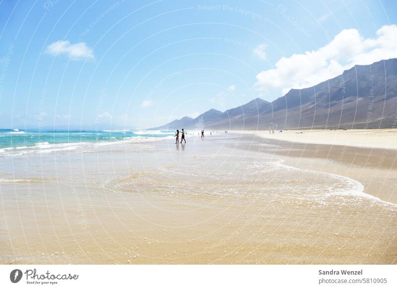Cofete, Fuerteventura Sommer Urlaub Strand Naturschutz Sandstrand ursprünglich Kanaren Sonne Meer Einsamkeit Tourismus menschenleer karibikfeeling