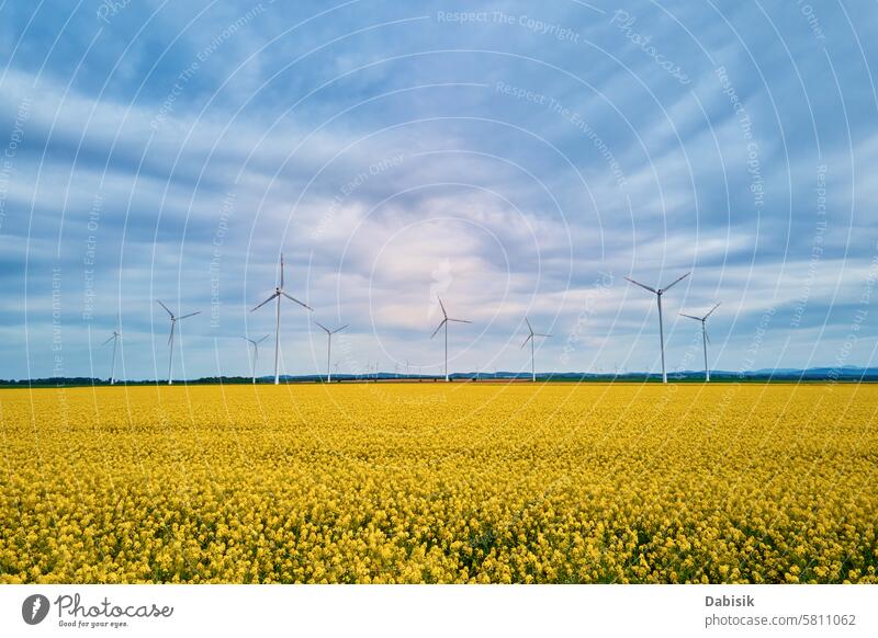 Windgeneratoren über farbenfrohen landwirtschaftlichen Feldern. Entwicklung der grünen Energie Stromerzeuger Turbinen nachhaltig regenerativ Luftaufnahme