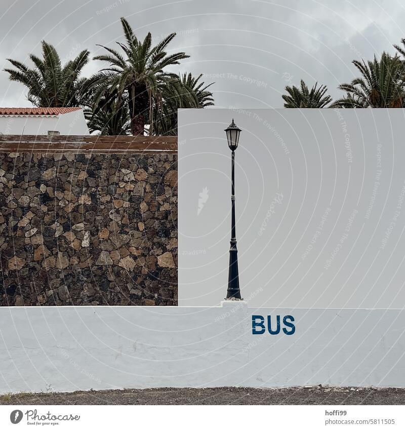 Bushaltestelle mit Palmen und Laterne Haltestelle Öffentlicher Personennahverkehr warten Busfahren Personenverkehr Geometrie Ordnung
