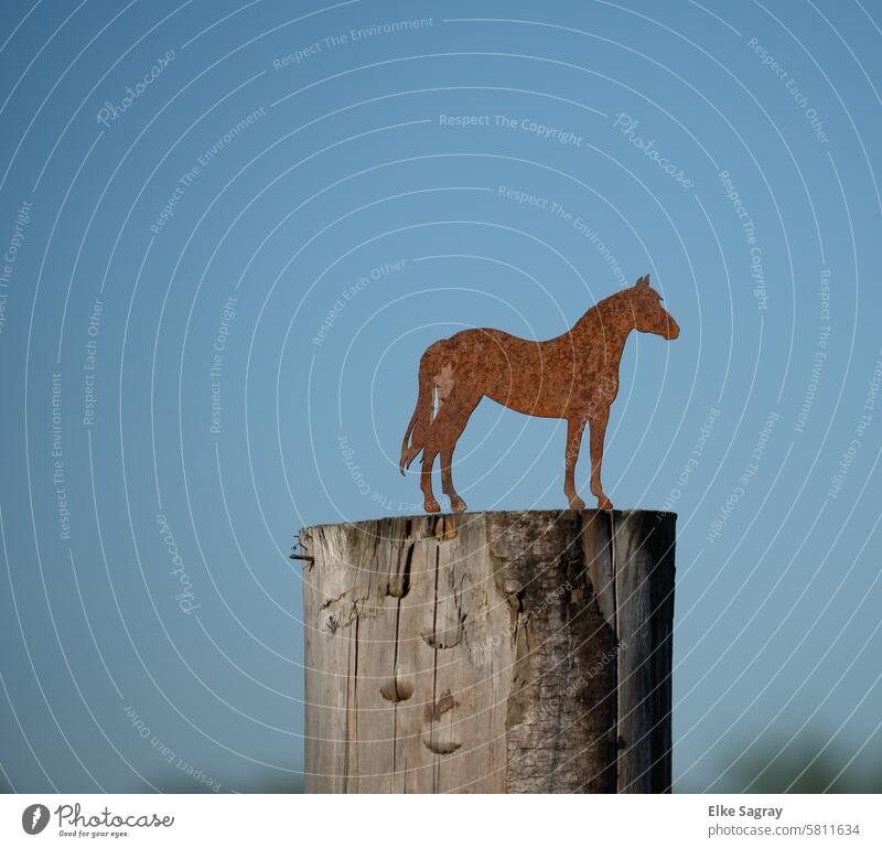 Rostiges , braunes Pferd aus Metall  auf einem Pfahl vor blauem Hintergrund Metallpferd Außenaufnahme Menschenleer pfahl Landschaft Natur Farbfoto Himmel Meer
