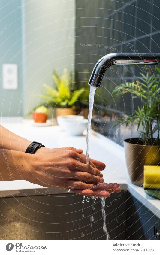 Crop-Frau beim Händewaschen über dem Waschbecken zu Hause Waschen Hand Wasser fließen Hygiene eingießen Wasserhahn Küche heimwärts aqua Flüssigkeit schnell