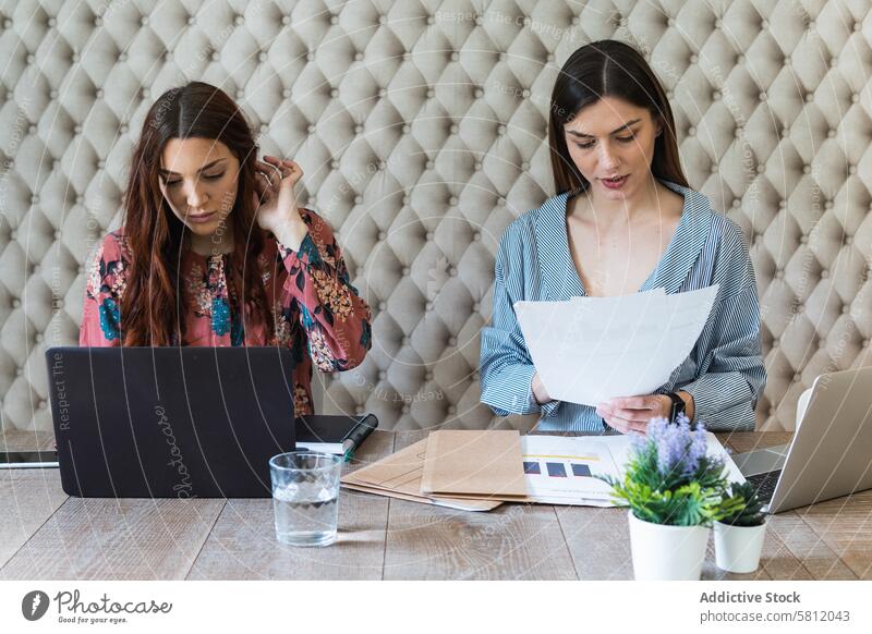 Konzentrierte Frauen arbeiten an Laptops im Coworking Space Arbeit Papierkram Büro Arbeitsplatz Kollege beschäftigt Arbeitsbereich Teamwork Mitarbeiterin