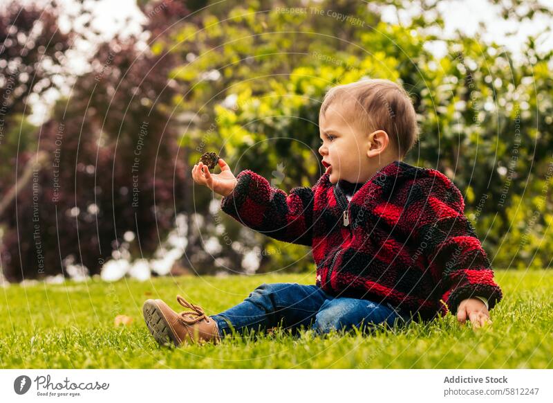 Süßer kleiner Junge sitzt im Park auf Gras niedlich Baby Kind Natur grün Sommer Glück im Freien wenig Fröhlichkeit schön Freude Kaukasier Spaß Frühling Menschen