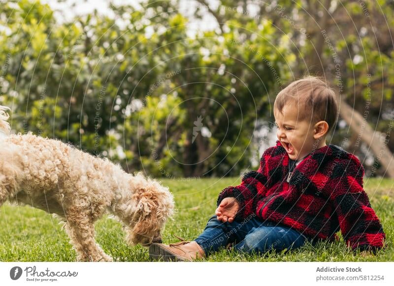 süßes Baby spielt mit einem Hund im Park niedlich Tier Haustier jung Glück Gras wenig Kind Fröhlichkeit Sommer Person Menschen Welpe im Freien Liebe Spaß