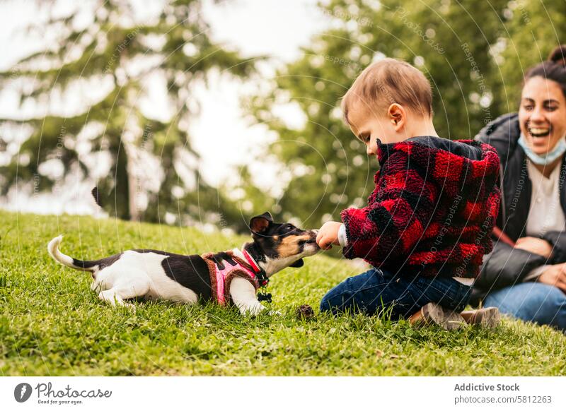 kleiner Junge spielt mit einem kleinen Hund in einem Park wenig Baby Glück Kind Kindheit niedlich Menschen Haustier jung Fröhlichkeit Spaß im Freien Liebe Tier