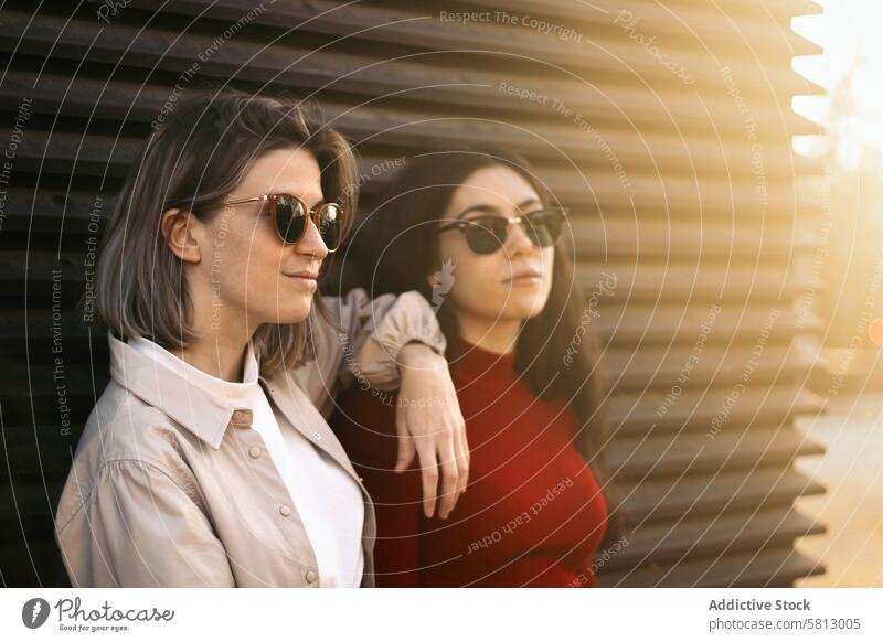 Zwei Frauen Porträt von der Seite mit Sonnenlicht Menschen jung zwei Liebe Glück Paar im Freien Zusammensein Sommer Lächeln Fröhlichkeit Erwachsener