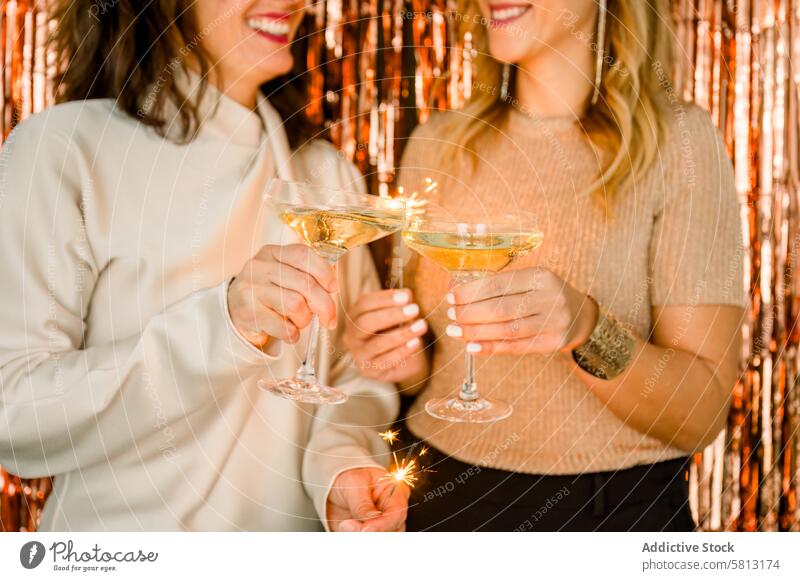 Crop-Frauen, die auf einer Party anstoßen feiern Alkohol trinken Cocktail festlich Getränk Freund Feiertag Glas Champagne Veranstaltung heiter Zusammensein