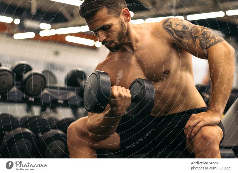 muskulöser Mann trainiert Arm mit einer Hantel Fitness männlich Training Übung Körper Fitnessstudio Bizeps stark Stärke Person Gesundheit Heben Gewicht Sport