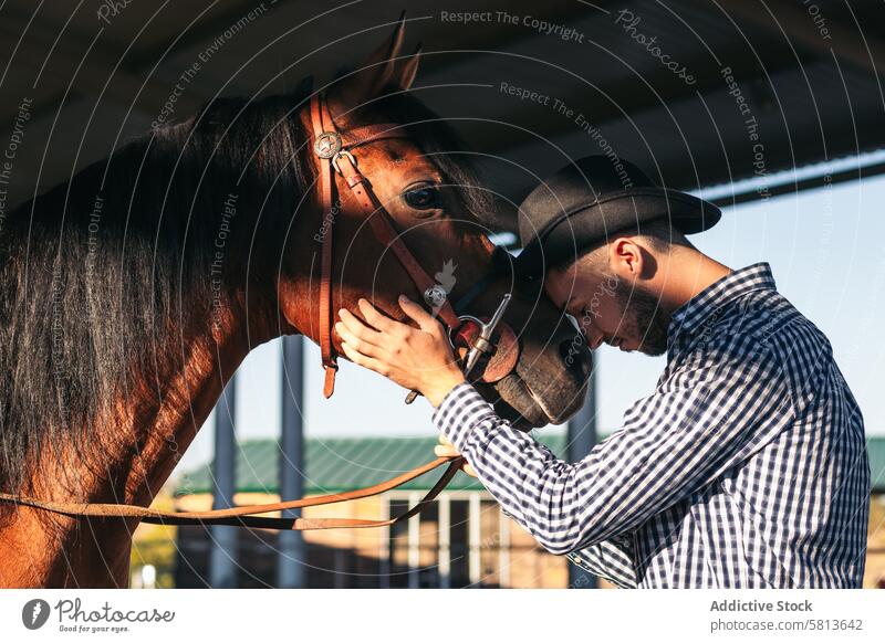 Ein Mann kümmert sich in einem Reitsportzentrum um sein braunes Pferd Natur Tier Reiterin Bauernhof pferdeähnlich striegeln Pferdestall Hengst Ranch Viehbestand