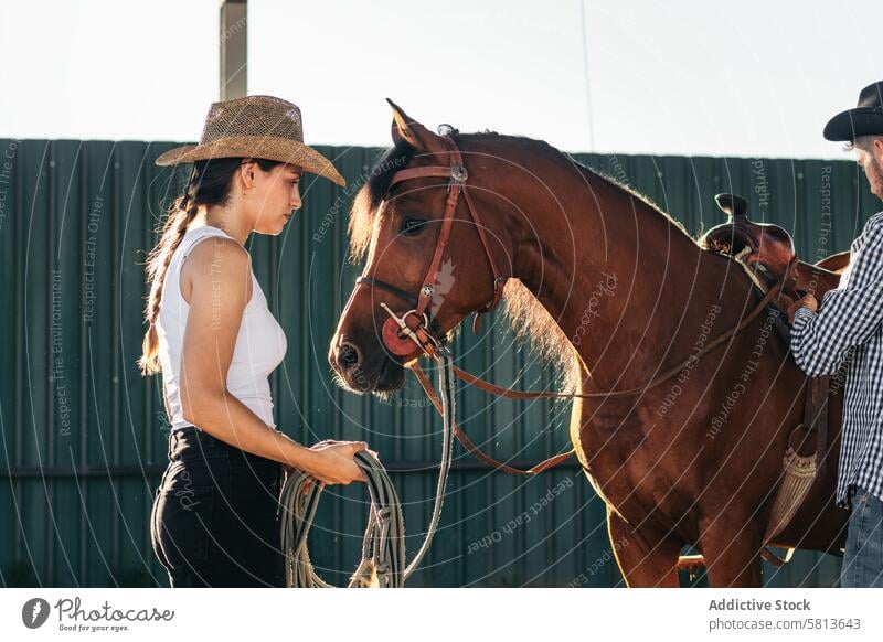 Frau kümmert sich um ihr braunes Pferd in einem Reitsportzentrum Natur Tier Reiterin Bauernhof pferdeähnlich striegeln Pferdestall Hengst Ranch Viehbestand