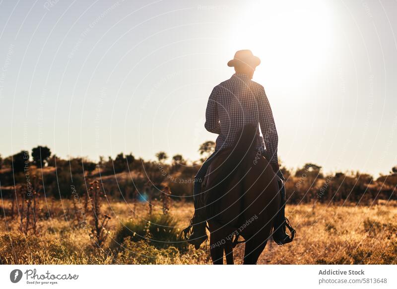 Mann mit Hut reitet auf einem Pferd in der Landschaft bei Sonnenuntergang Natur jung Tier Ranch Cowboy Person pferdeähnlich Reiten schön Reiterin Haustier Feld
