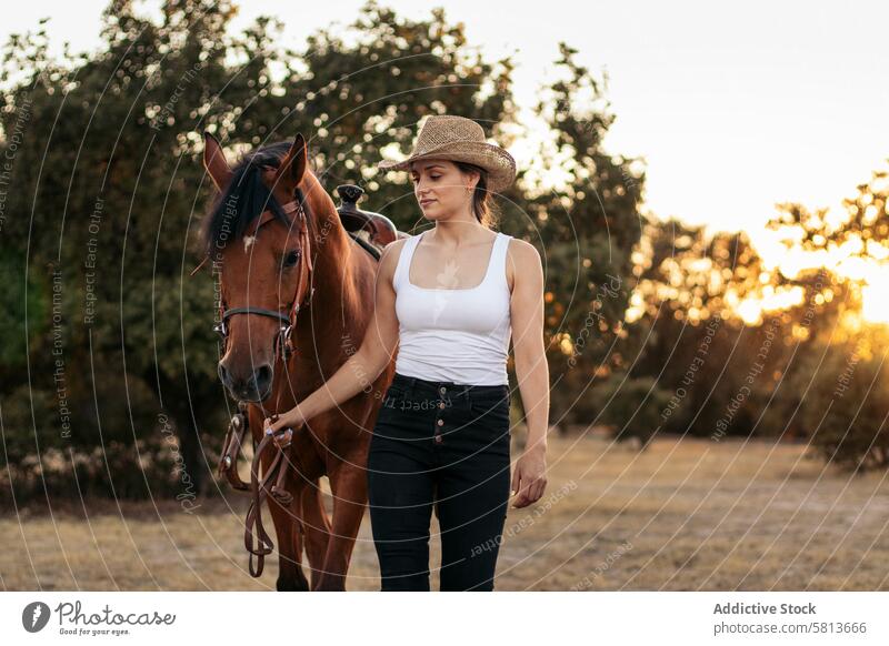 Junge Frau mit Hut geht mit ihrem Pferd in der Landschaft bei Sonnenuntergang spazieren Natur jung Tier Ranch Cowgirl Cowboy Person pferdeähnlich Reiten schön