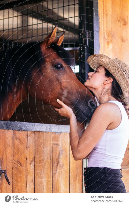 Frau kümmert sich um ihr braunes Pferd im Stall Reiter Natur Tier Reiterin Bauernhof pferdeähnlich striegeln Pferdestall Hengst Ranch Viehbestand Freund