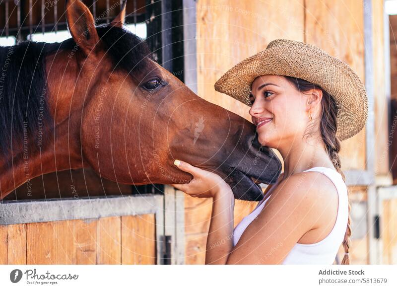 Frau kümmert sich um ihr braunes Pferd im Stall Natur Tier Reiterin Bauernhof pferdeähnlich striegeln Pferdestall Hengst Ranch Viehbestand Freund Haustier