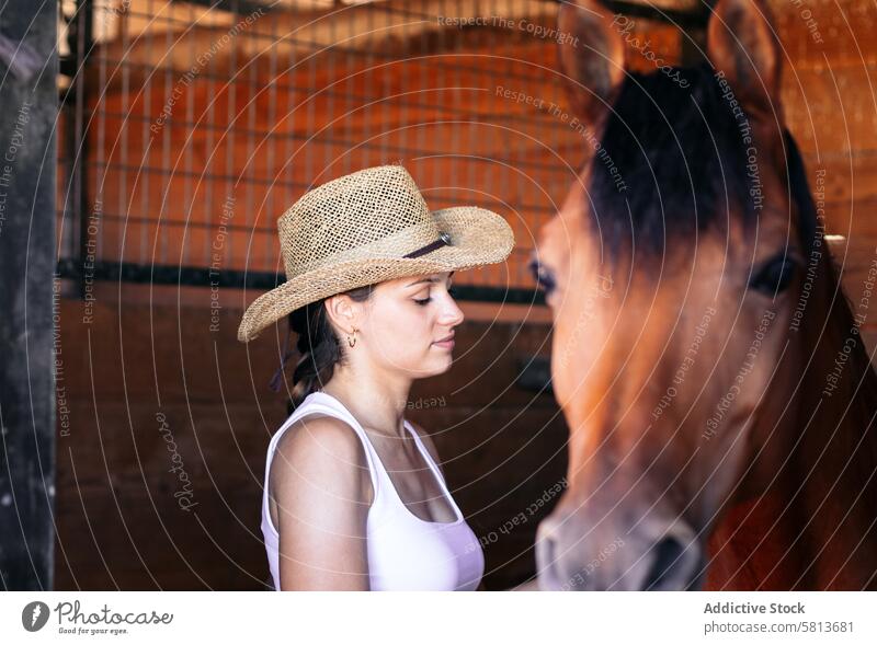 Frau kümmert sich um ihr braunes Pferd im Stall Natur Tier Reiterin Bauernhof pferdeähnlich striegeln Pferdestall Hengst Ranch Viehbestand Freund Haustier