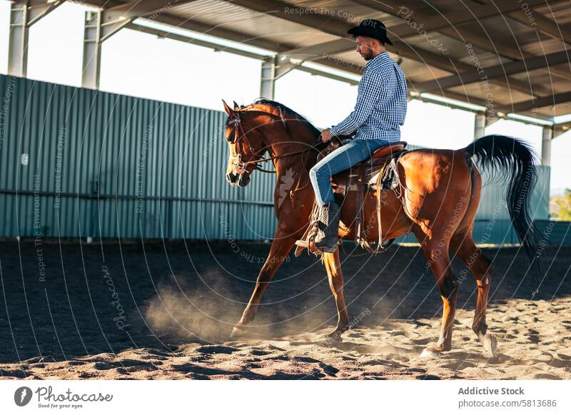 Mann reitet auf einem Pferd in einem Reitsportzentrum Natur Tier Reiterin Bauernhof pferdeähnlich striegeln Pferdestall Hengst Ranch Viehbestand Freund Haustier