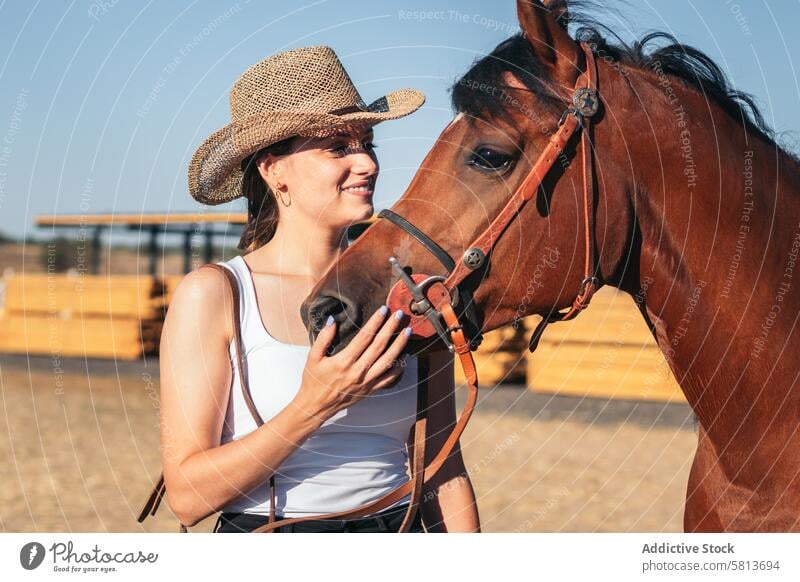 Frau sattelt ihr Pferd in einem Reitzentrum Reiter Natur Tier Reiterin Bauernhof pferdeähnlich striegeln Pferdestall Hengst Ranch Viehbestand Haustier Säugetier