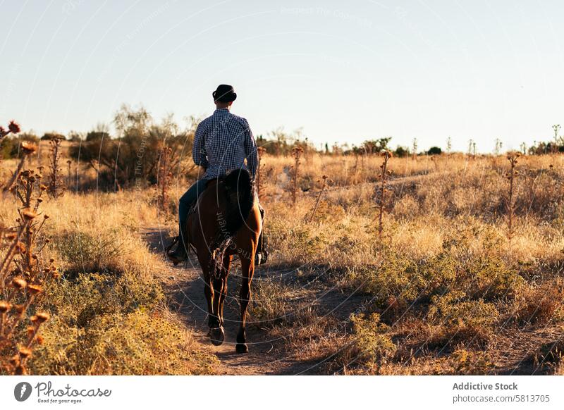 Mann mit Hut reitet auf einem Pferd in der Landschaft bei Sonnenuntergang Natur jung Tier Ranch Cowboy Person pferdeähnlich Reiten schön Reiterin Haustier Feld